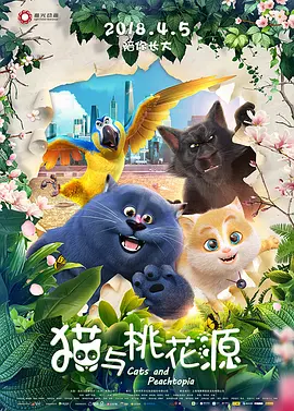 无浏览器毛片