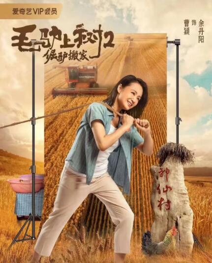 爱爱视频观看