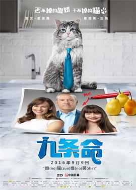 茉莉健身房
