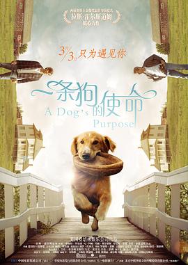 五月天婷婷影院