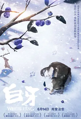 难忘的旅行