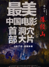 视频福利在线观看