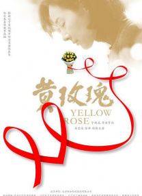 中文字幕理伦片