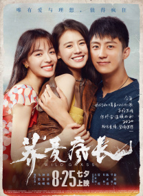 保险公司私人女