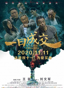国内精品久久久久激情影院
