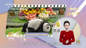 亚洲免费一区